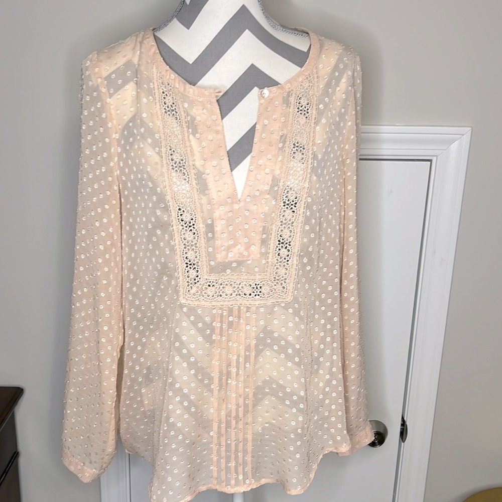 Sheer Blouse
